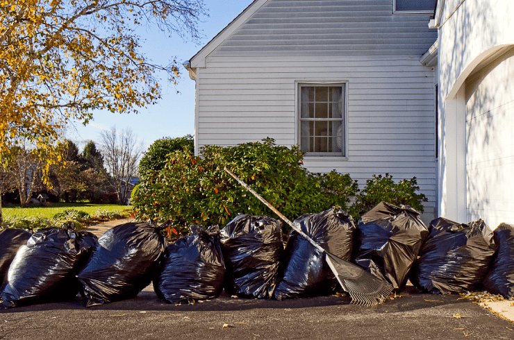 KP's Junk Solutions