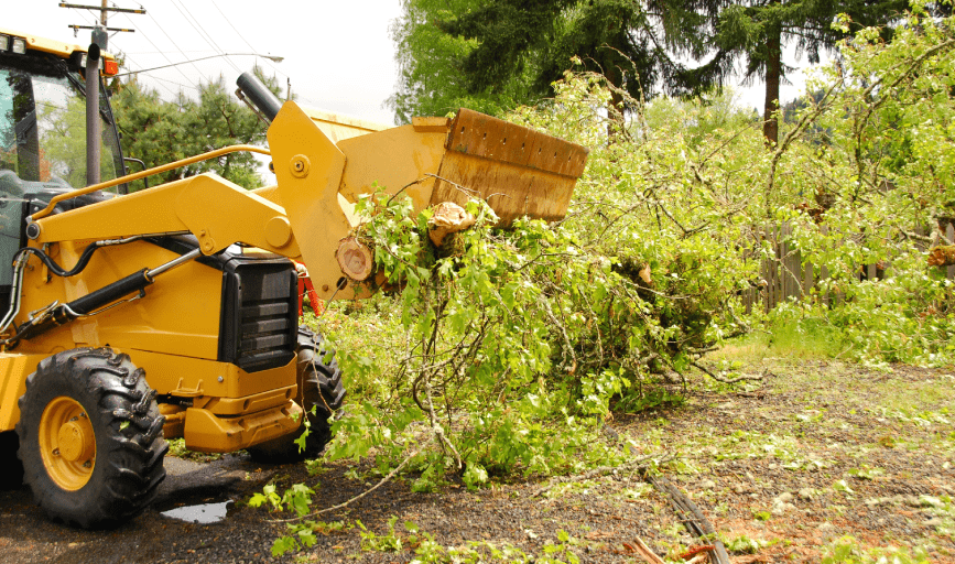 Storm Debris Removal